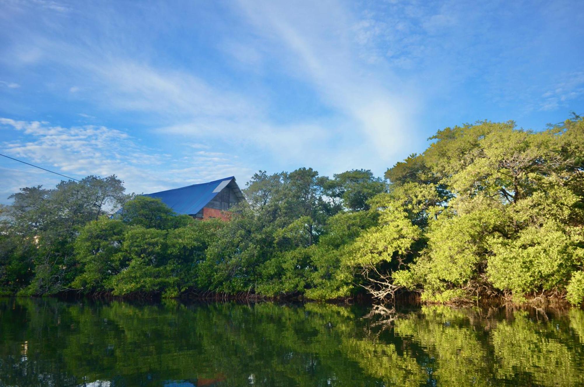 Playa Del Ritmo Beach Hostel & Bar - Adults Only 산타마르타 외부 사진