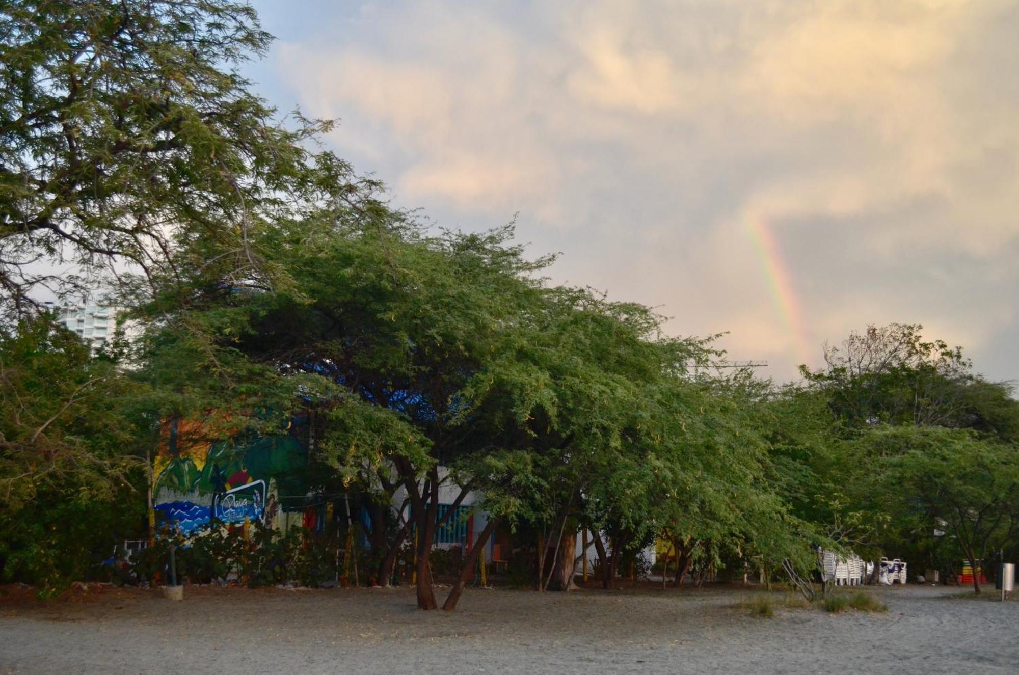 Playa Del Ritmo Beach Hostel & Bar - Adults Only 산타마르타 외부 사진
